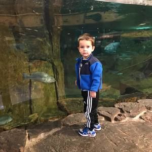 Meet your Posher, Victoria